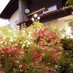 Der Garten_1